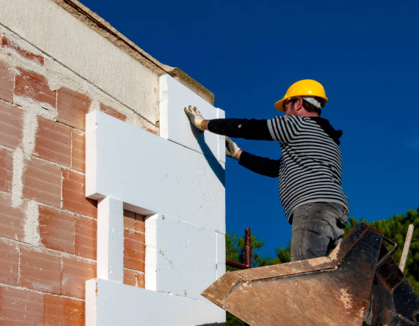 Best Geographic-Specific Insulation Services in Temple Terrace, FL