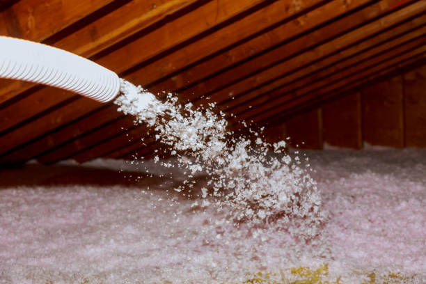 Best Spray Foam Insulation in Temple Terrace, FL