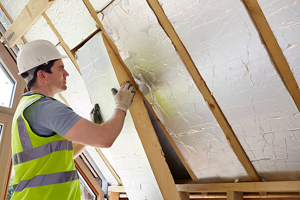 Best Insulation Maintenance and Repair in Temple Terrace, FL